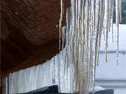 Erstes Tauwetter: Imposante Galerien von Eiszapfen bilden sich an den vielen Rohrdchern in Zempin.