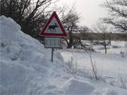 Parkordnung fr Elche: Das Loddiner Hft nach wochenlangem Schneefall.