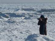 Ein Fest fr jeden Fotografen: Strahlender Sonnenschein ber einem vereisten Ostseestrand.