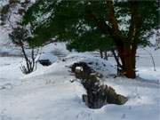 Mit dem tauenden Schnee kommen die Schtzengrben auf dem Peenemnder Haken wieder zum Vorschein.