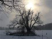 Fr einen kurzen Augenblick scheint die Sonne durch die dunklen Schneewolken.