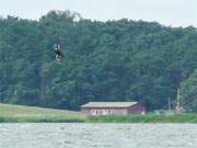 Ein bisschen wie Fliegen: Kiter ber dem Achterwasser am Loddiner Hft.