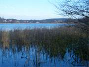 Blick ber den Kleinen Krebssee: Das Usedomer Hinterland im Winter.
