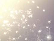 Das neue Jahr begren: Feuerwerk am Usedomer Himmel.