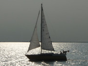 Wassersport auf der Ostsee: Segelboot in der Nhe des Boddens.