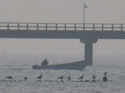 Zurck vom Fischen: Fischerboot am Strand von Bansin.