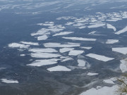Eisschollen: Erste Flchen offenen Wassers am Loddiner Hft.