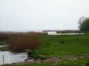 Landschaft am Achterwasser: Osten des Loddiner Hfts.