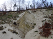 Kstenerosion auf Usedom: Steilkste beim Seebad ckeriz.