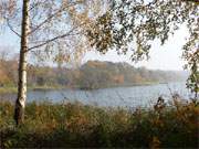 Ein Fest der Farben: Das nordstliche Ufer des Klpinsees im Herbst.