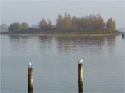 Novembermorgen ber dem Peenestrom: Kleine Insel bei Wolgast.