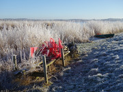 Fischereigert an der Melle: Winterparadies Usedom.